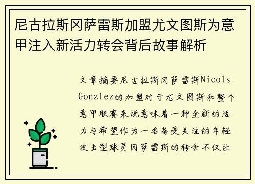 尼古拉斯冈萨雷斯加盟尤文图斯为意甲注入新活力转会背后故事解析